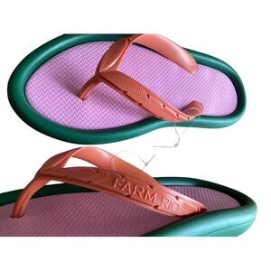 Farm Rio Pink and Green Flip Flops